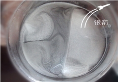 銀箭牌高檔鋁顏料用鋁粉 銀箭牌高檔鋁顏料用鋁粉